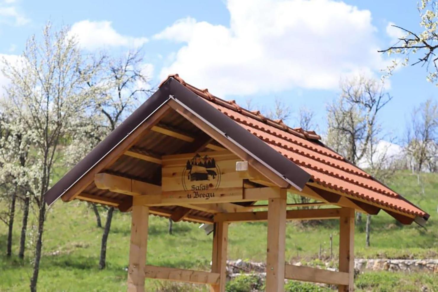 Salas U Bregu In Cheile Carasului Crasova Exterior foto
