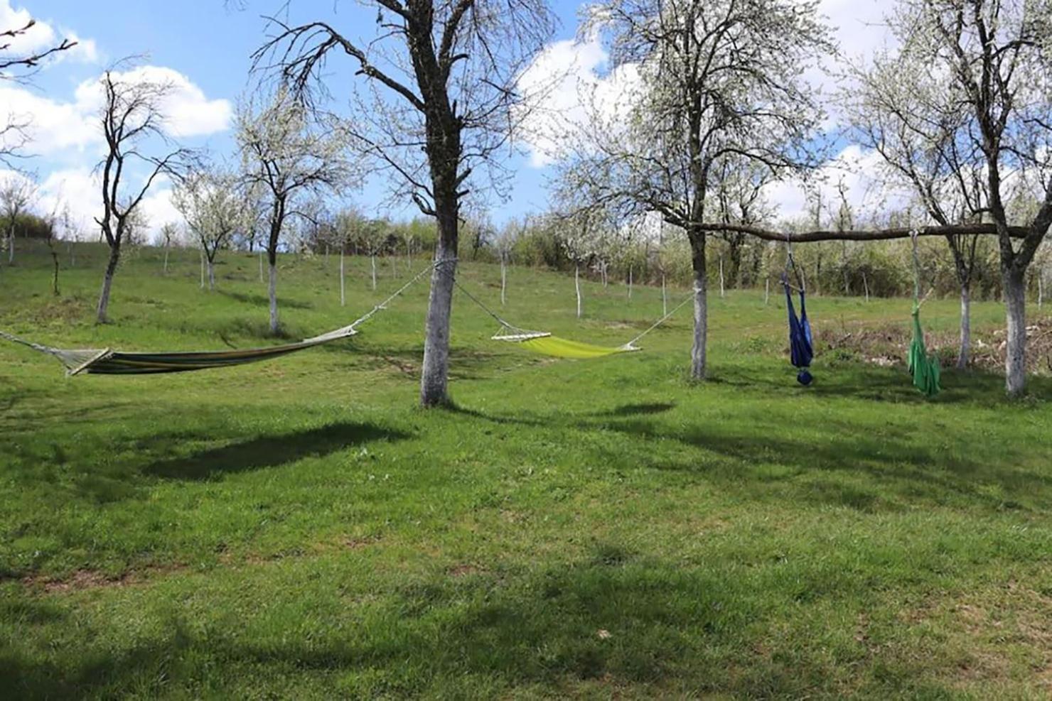 Salas U Bregu In Cheile Carasului Crasova Exterior foto