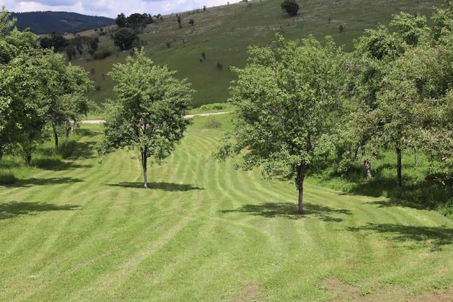 Salas U Bregu In Cheile Carasului Crasova Exterior foto