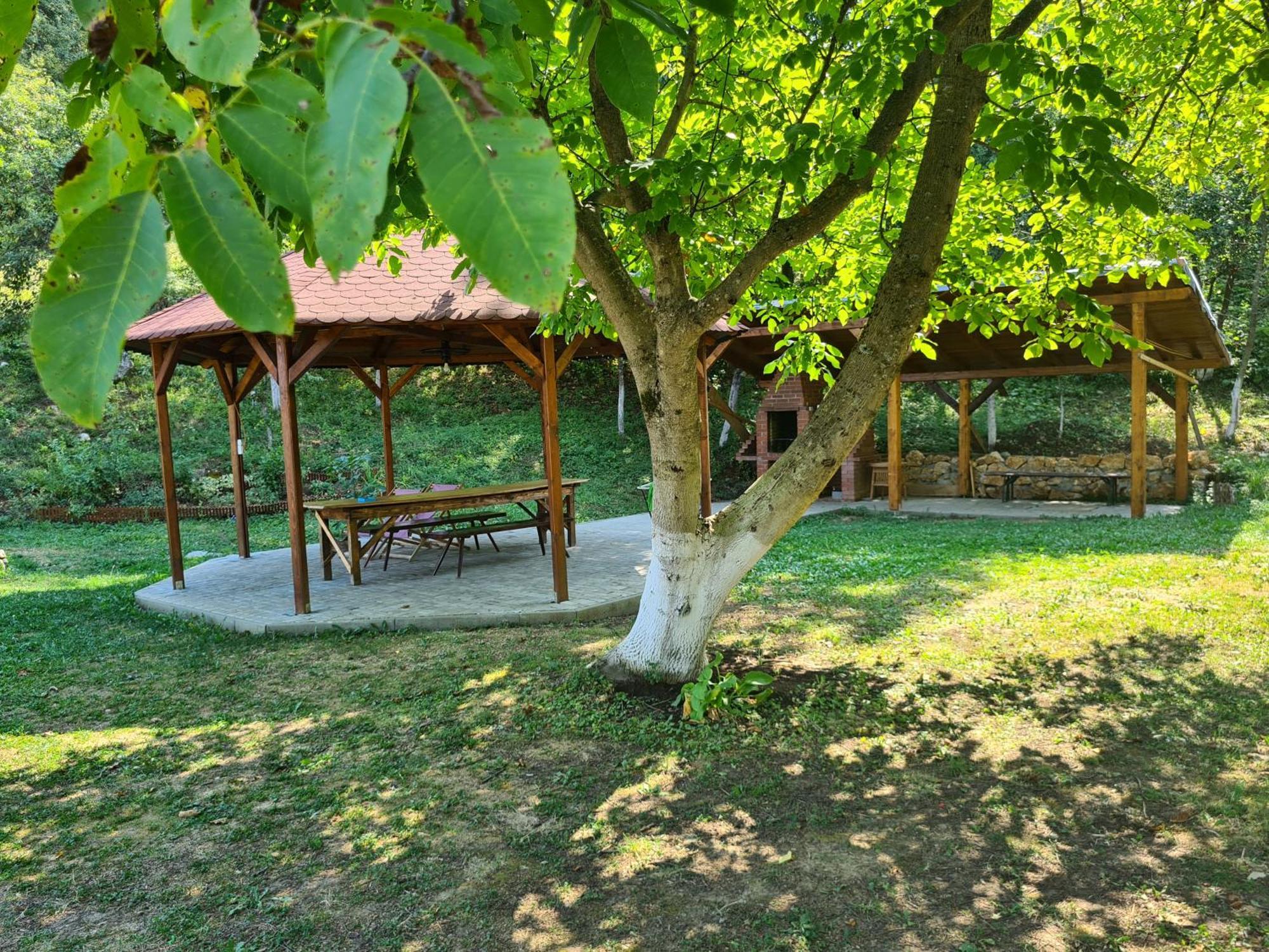 Salas U Bregu In Cheile Carasului Crasova Exterior foto